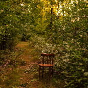 Warsztaty online: </br>WDECH WYDECH CISZA</br>Oddech w redukcji napięcia i stresu